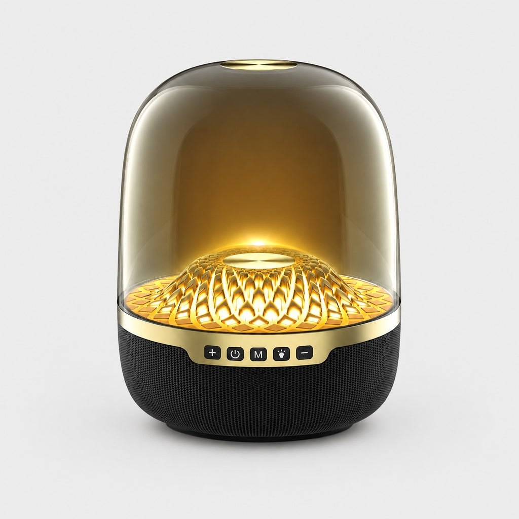 Yinyou Liuli 5 speaker