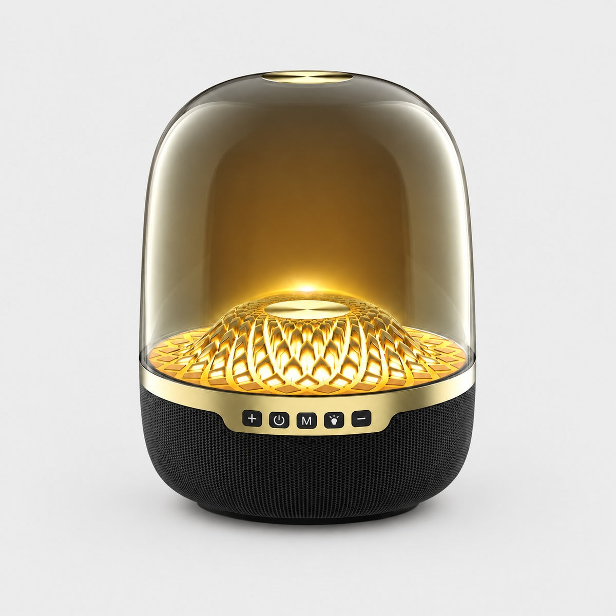 Yinyou Liuli 5 speaker