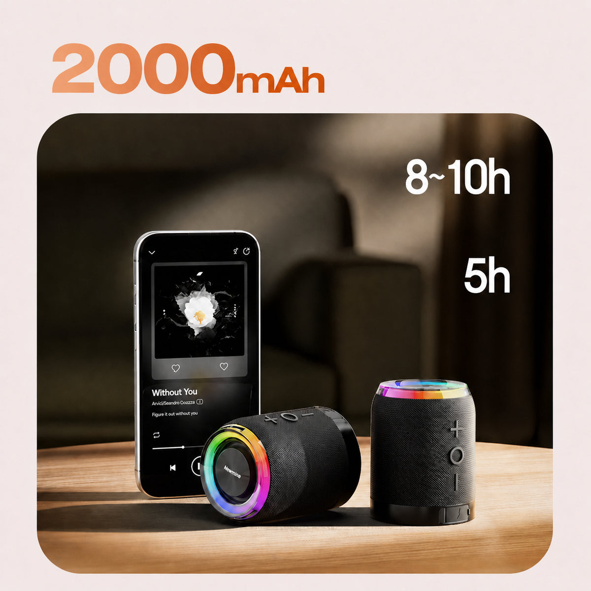 Newmine PBS015 speaker