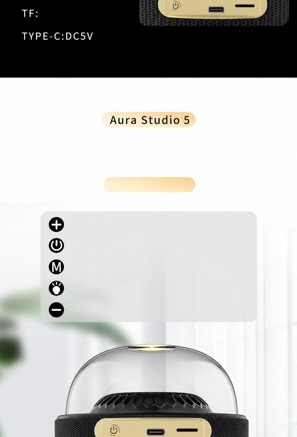 Yinyou Liuli 5 speaker